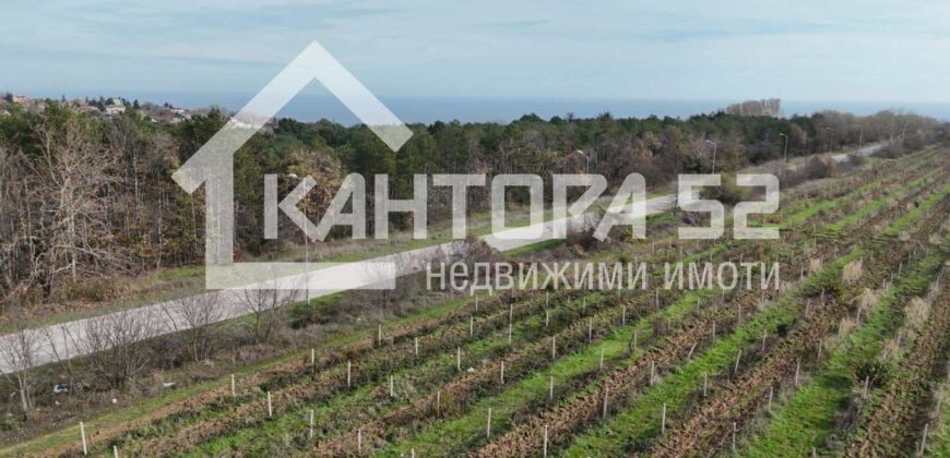 Парцел на главен път!